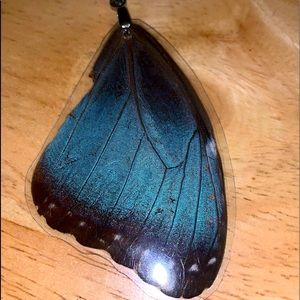 Real butterfly wing pendant!